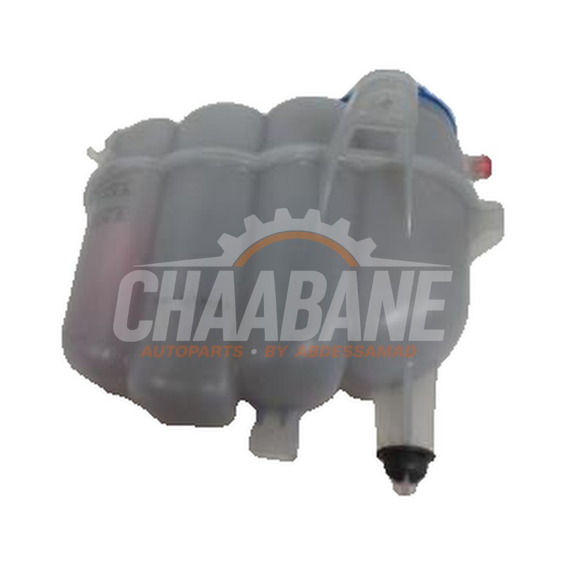 Vase dexpansion 8W0121405E Audi A5 2016