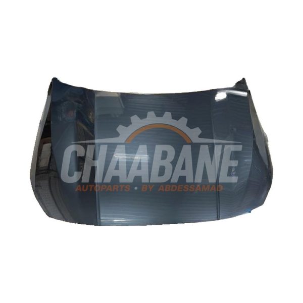 Capot 41009492428 BMW 1 serie (F40) 2019