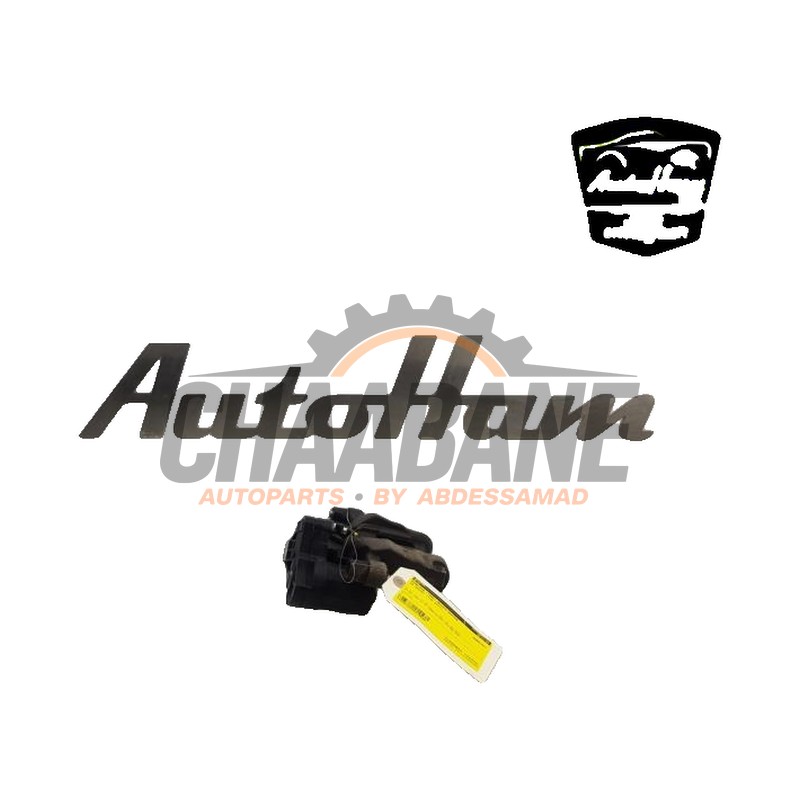 Etrier de frein (pince) arriere droit 3Q0998281A Cupra Ateca 2.0 TSI 16V 4Drive 2018