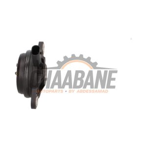 Reglage arbre a cames 06M109259N Audi RS 4 Avant (B9) 2.9 V6 TFSI 24V 2017