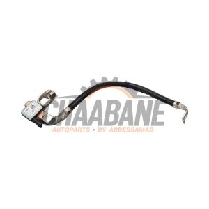 Borne de batterie 61219855909 BMW 3 serie Touring (G21) 320e xDrive 2.0 TwinPower Turbo 16V 2019