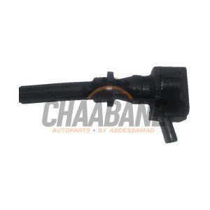Bobine DX2312A366AC Jaguar F-type 3.0 V6 24V