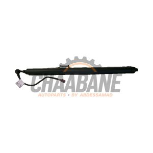Amortisseur a gaz arriere droit T4A44666 Jaguar F-Pace 2.0 D 180 16V AWD