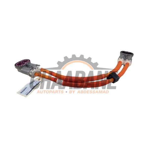 Cable haute tension 5A37100 BMW i7 (G70) eDrive50 106 kWh 2022