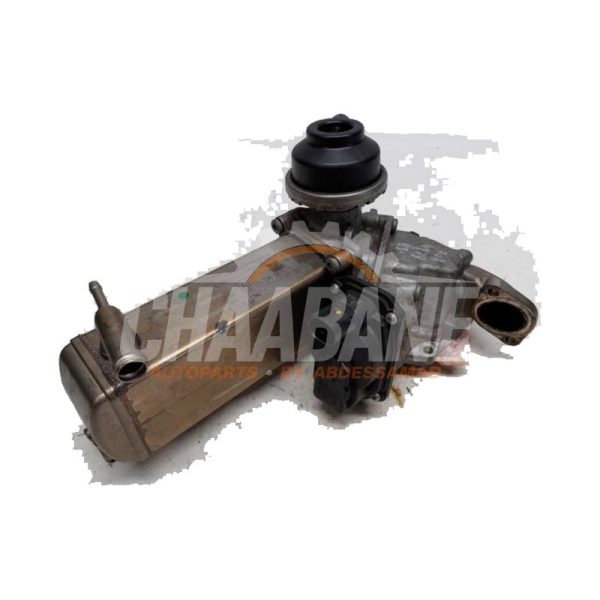 Valve RGE 313160461 Audi Q7 (4MB/4MG) 3.0 TDI V6 24V Ultra 2015