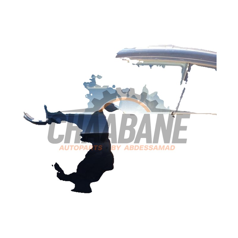 Portiere 2portes gauche 41525A43C91 BMW 2-Serie 2013 / 2021