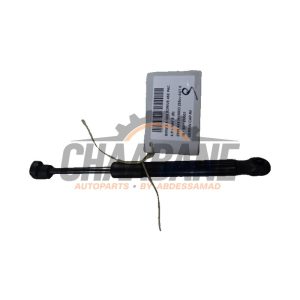 Amortisseur kit capot moteur BMW X5 2018