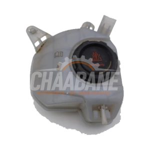Vase dexpansion 2Q0121407D Seat Ibiza V (KJB) 1.0 TSI 12V 2017