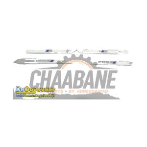 Eclairage dembarquement 807043702 BMW X7 M50d xDrive 3.0 24V 2019