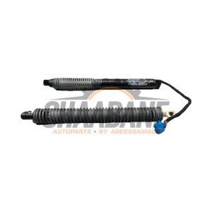 Kit amortisseur gaz hayon 217272 BMW 7 serie (G11/12) 740d,Ld xDrive 24V 2015 / 2022