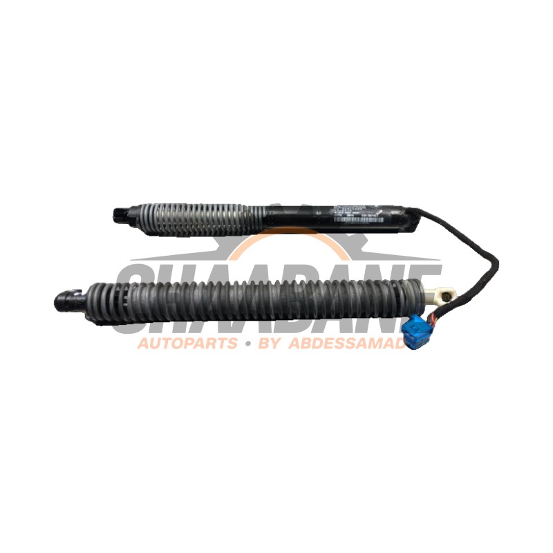 Verin de coffre 217272 BMW 7 serie (G11/12) 740d,Ld xDrive 24V 2015 / 2022