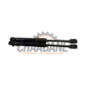 Amortisseur kit capot moteur 5123723923306 BMW 3-Serie 2013 / 2018