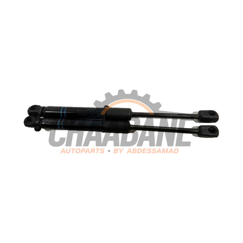 Amortisseur kit capot moteur 5123723923306 BMW 3-Serie 2012 / 2019