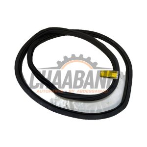 Joint caoutchouc portiere 4portes avant droite 51729854720 BMW iX (I20) xDrive40 77 kWh 2021