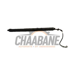 Amortisseur a gaz arriere droit 535123551 Landrover Range Rover V (LK) 3.0 V6 P510e