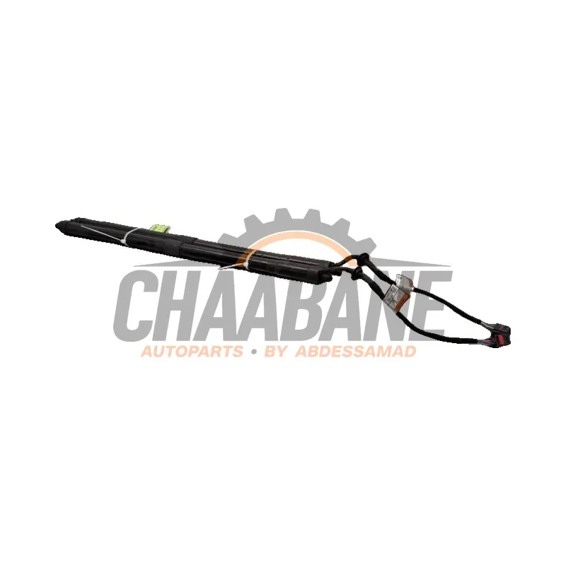 Verin de coffre CPLA70354BG Landrover Range Rover Sport (LW) 3.0 D250 MHEV