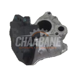 Valve RGE A6511400860 Mercedes Vito