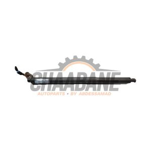 Verin de coffre 51247481807 BMW X1 (F48) 2014 / 2022