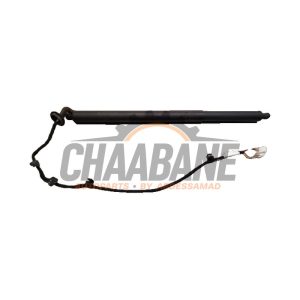 Amortisseur a gaz arriere gauche A2478905500 Mercedes B (W247) 1.3 B-180 Turbo 16V