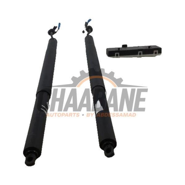 Coffre moteur 7441811 BMW X7 2019