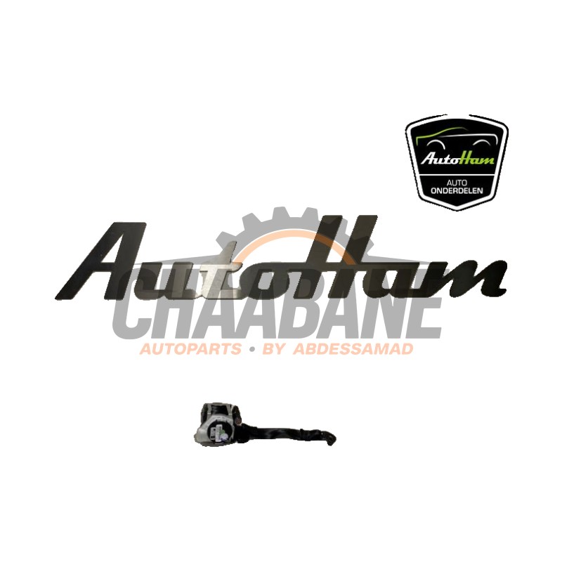 Ceinture arriere droit 10A857805ARAA Cupra Born 58 2021