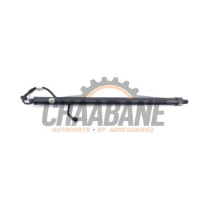 Hayon moteur HK8370354AF Jaguar F-Pace 2.0 P400e 16V AWD