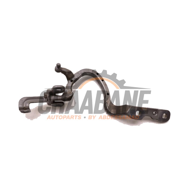Charniere hayon 9630148 BMW iX (I20) xDrive40 77 kWh 2021