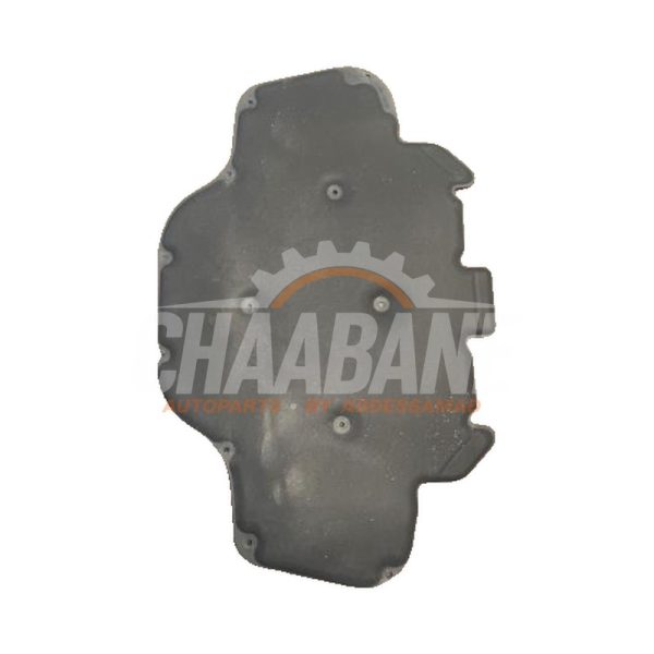 Revetement capot 51487189921 BMW X5 (G05) xDrive M50d 3.0 24V 2018
