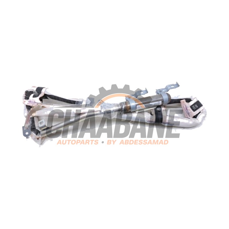 Airbag plafond gauche 4S0880741D Audi R8 (4S3/4SP) 5.2 V10 Plus Quattro 2015
