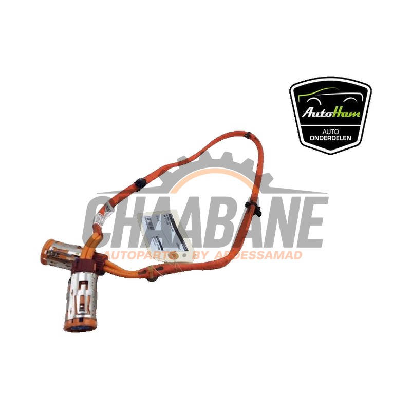Cable haute tension 5A37112 BMW i7 (G70) eDrive50 106 kWh 2022