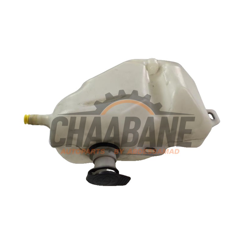 Reservoir dexpansion 400955449 Audi R8 2015