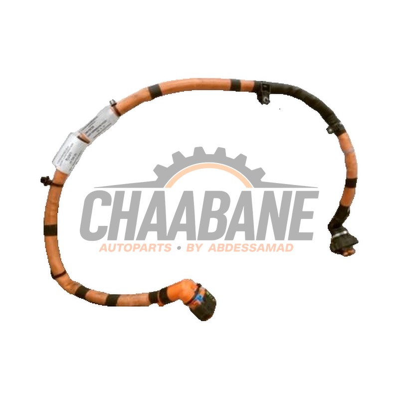 Cable haute tension 240418270R BMW 3 serie Touring (G21) 330i 2.0 TwinPower Turbo 16V 2019