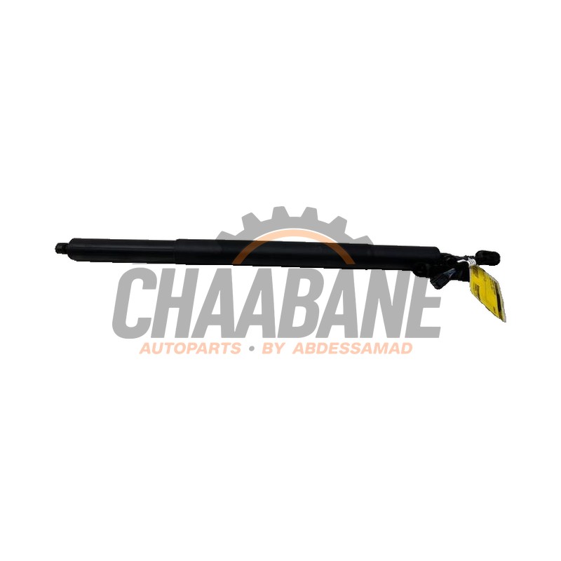 Amortisseur a gaz arriere gauche 89E827851A Audi Q4 Sportback (4FN) 40 e-tron 2021