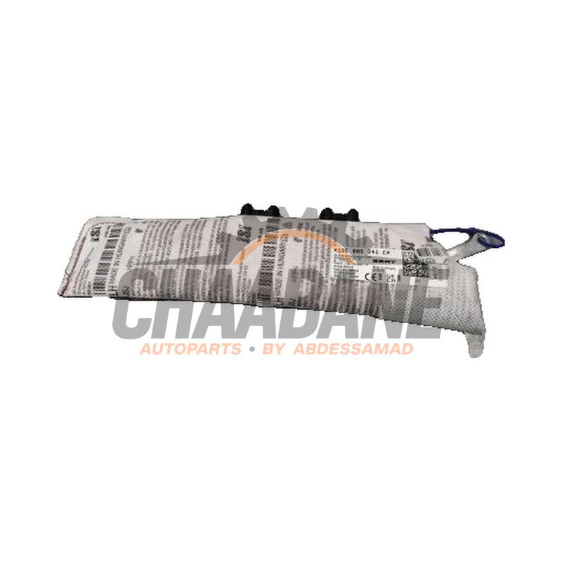 Airbag lateral 10E880241E Cupra Born 2021