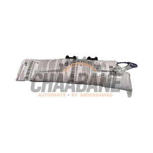 Airbag lateral Cupra Born 2021 10E880241E