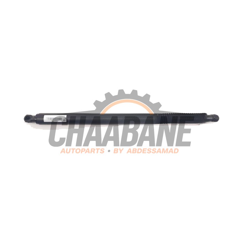 Amortisseur a gaz arriere gauche 749748206 BMW iX3 80 kWh 2020