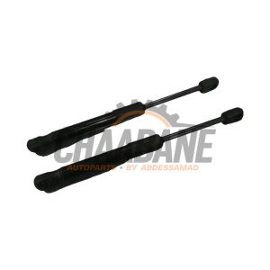 Amortisseur kit capot moteur 51237419387 BMW 4 serie Gran Coupe (G26) 420d Mild Hybrid xDrive 2.0 16V 2021