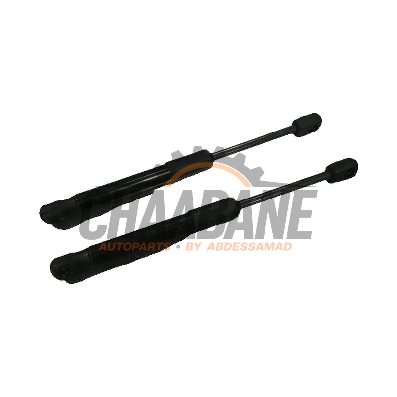 Amortisseur capot moteur gauche 51237419387 BMW 3-Serie 2019