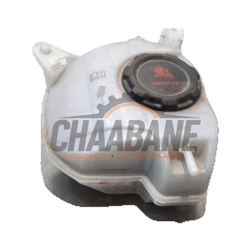 Vase dexpansion 2Q0121407B Seat Ibiza V (KJB) 1.0 MPI 12V 2017