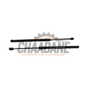 Amortisseur a gaz arriere gauche 10E827550D Cupra Born 2021