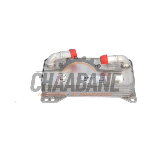 Refroidisseur dhuile 0BH317019F Cupra Formentor 2.5 VZ5 16V 4Drive 2020
