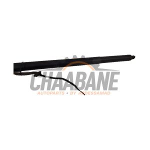 Verin de coffre 81A827851A Audi SQ2 (GAB/GAG) 2018