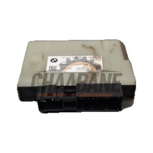 Ordinateur Adblue 16199454320 BMW X5 (G05) xDrive 25d 2.0 16V 2018