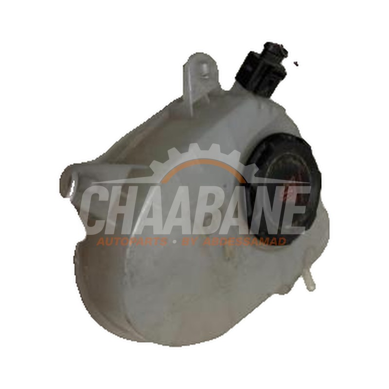 Vase dexpansion 5WA121407C Seat Leon (KLB) 1.5 eTSI 16V 2019