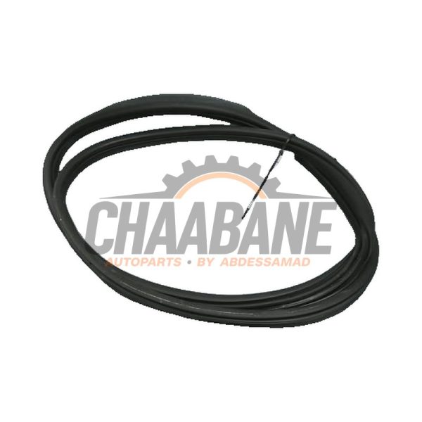 Joint caoutchouc portiere 4portes avant gauche 51729880688 BMW 1-Serie 2019