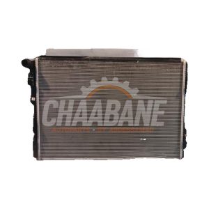 Radiateur deau 2Q0121253R Skoda Kamiq 1.0 TSI 12V 2019