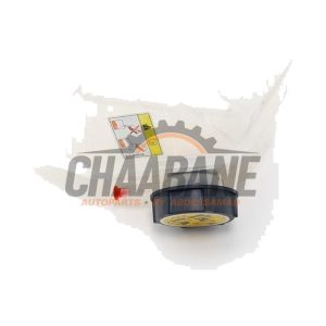 Vase dexpansion JPLA8D238AC Landrover Range Rover Sport (LW) 2.0 16V P400e