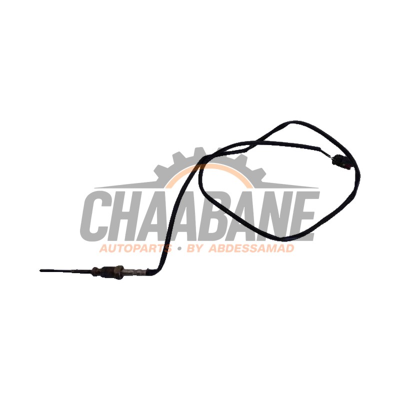 Sensor temperature d'echappement 13628570121 BMW X1 (F48) sDrive 18d 2.0 16V 2014 / 2022