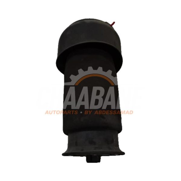 Ressort de flexion arriere BMW X5 2013 / 2018