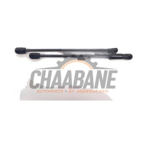 Amortisseur kit capot moteur 5123739749305 BMW iX3 80 kWh 2020